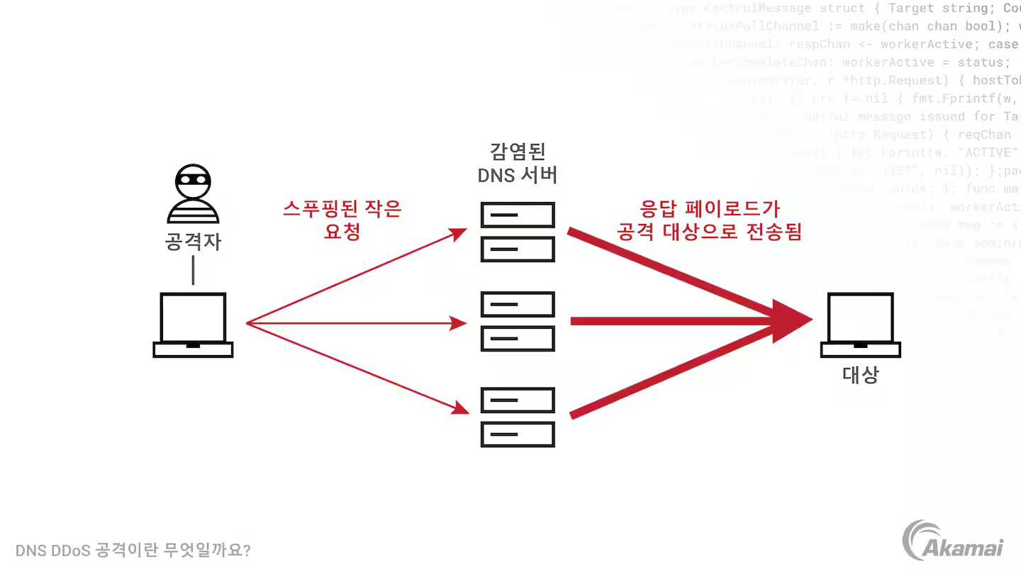 DNS 반사 공격