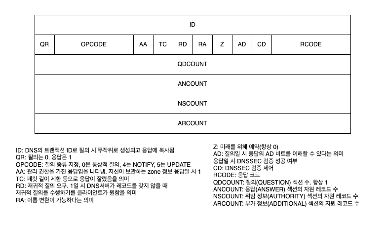 DNS 헤더 정보