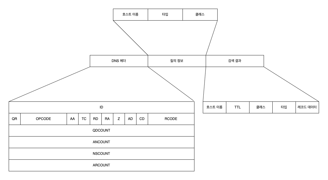 DNS 메시지 구조